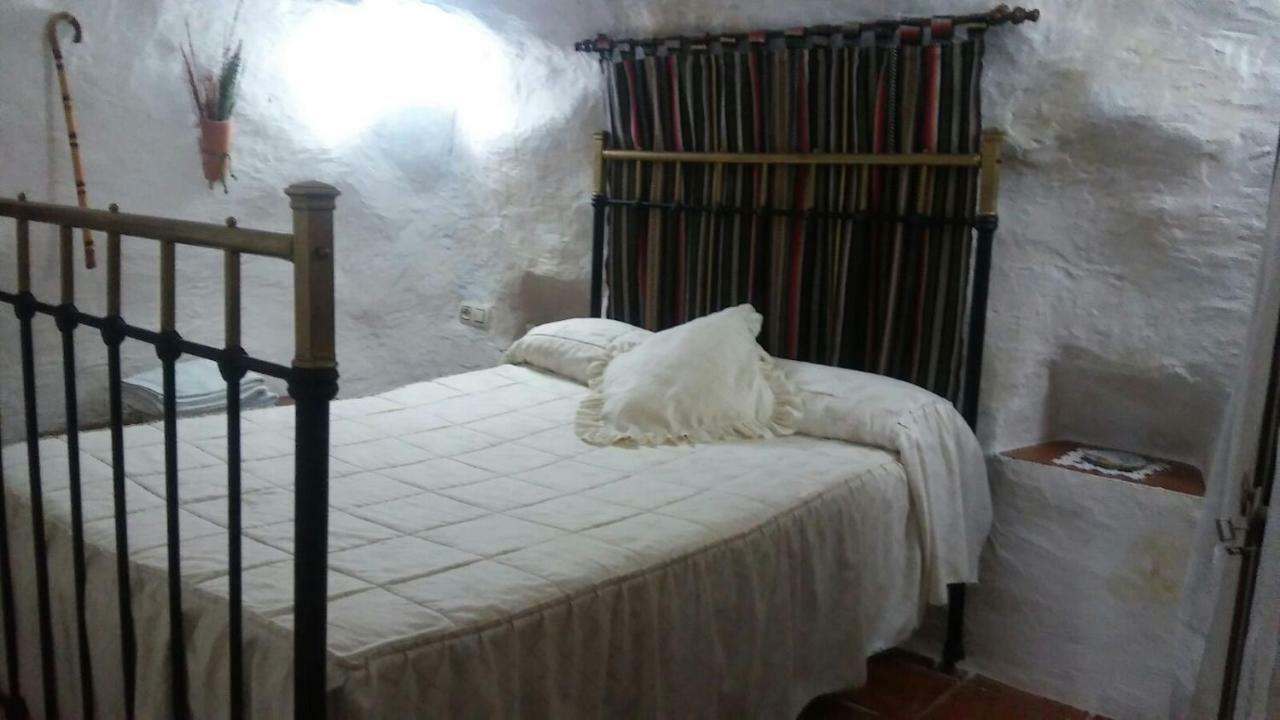 Landhaus Cueva Rural La Noguera *